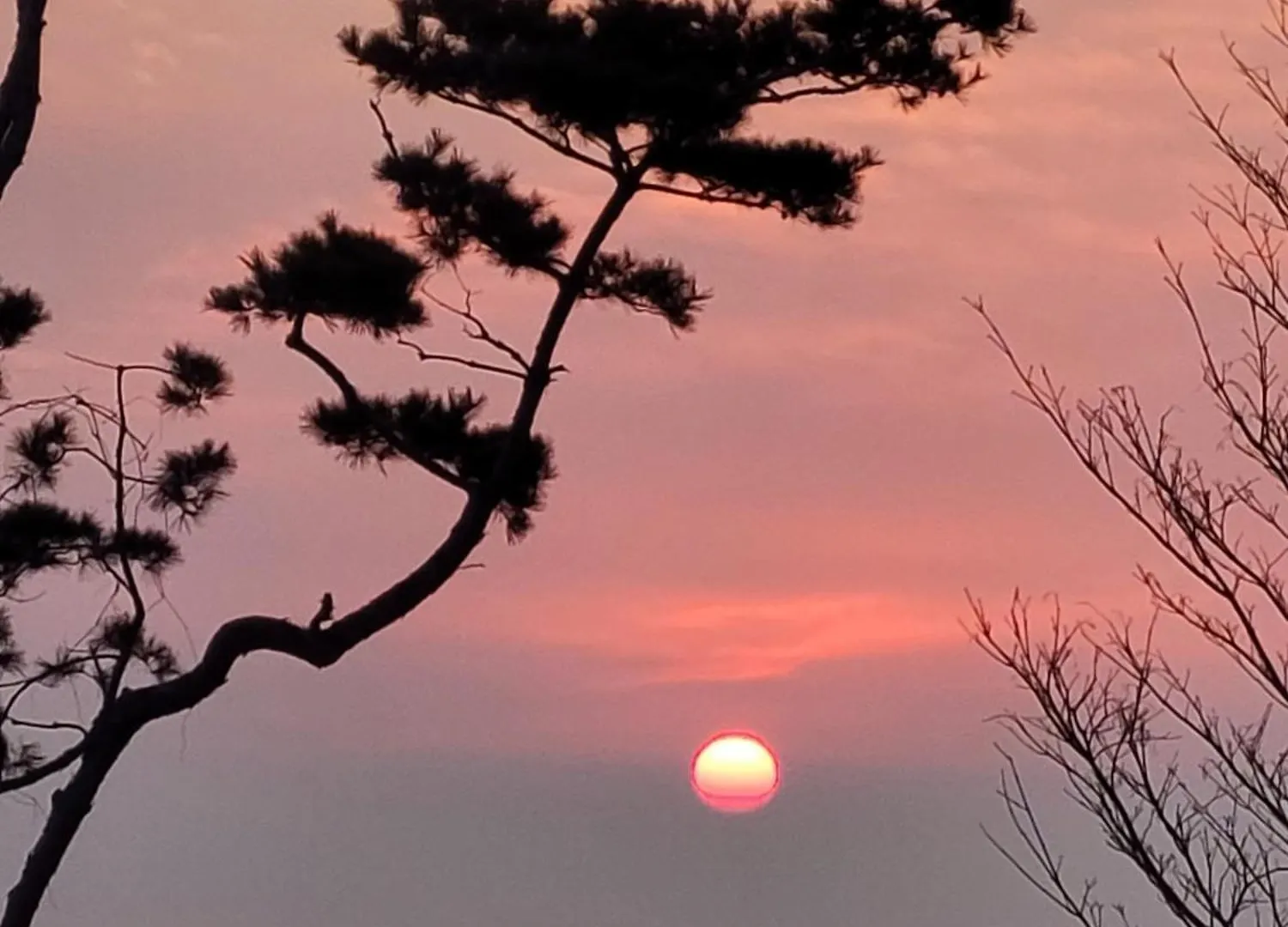 Rumah liburan Ganghwa Sweet House Pension Incheon Korsel