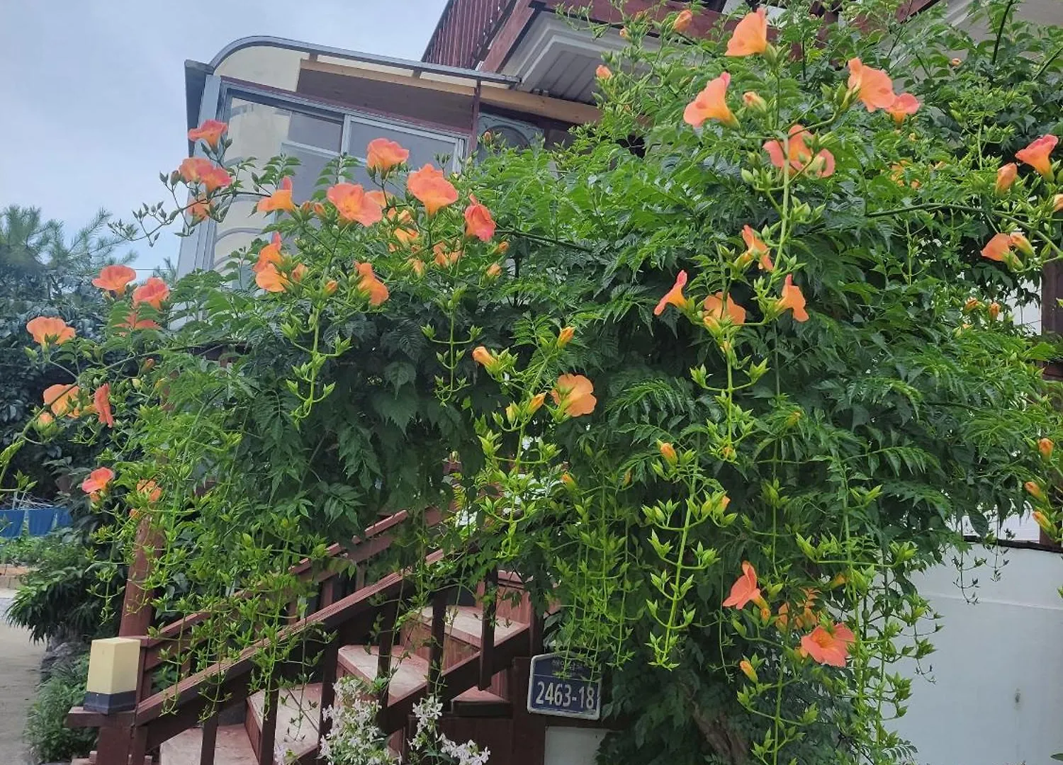 別荘 Ganghwa Sweet House Pension インチョン広域市